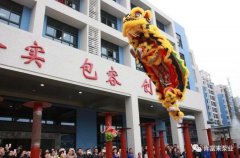 醒狮贺岁，开云官方站网站登录入口-开云(中国)2019年开工大吉